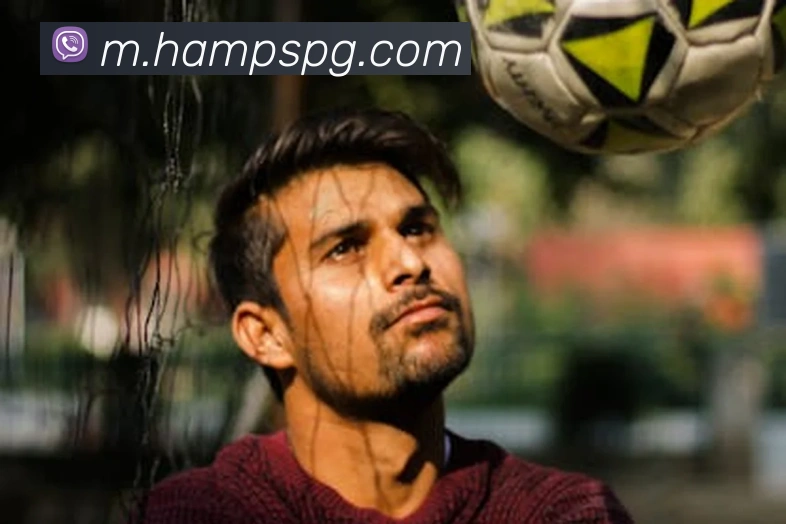 企业概况